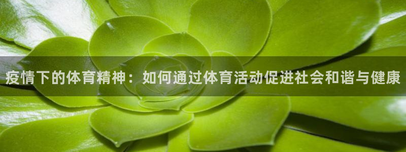 疫情下的体育精神：如何通过体育活动促进社会和谐与健康