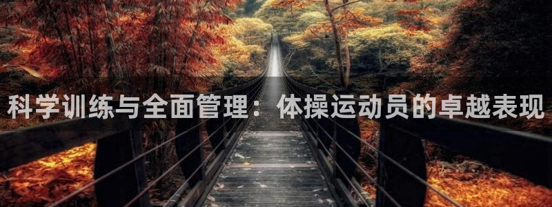 科学训练与全面管理：体操运动员的卓越表现