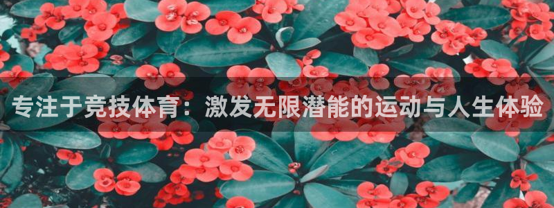 专注于竞技体育：激发无限潜能的运动与人生体验
