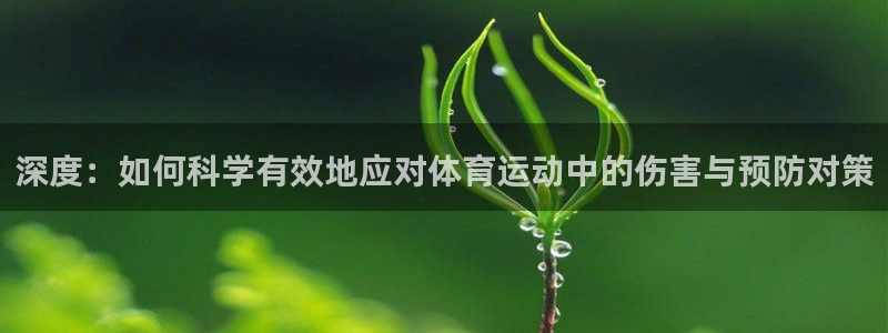 深度：如何科学有效地应对体育运动中的伤害与预防对策