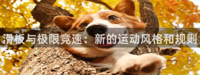 滑板与极限竞速：新的运动风格和规则