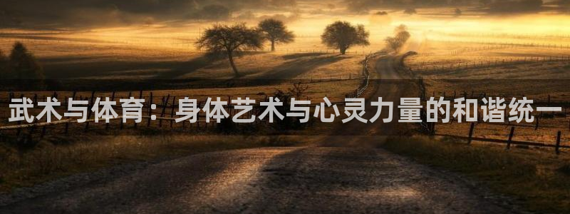 武术与体育：身体艺术与心灵力量的和谐统一