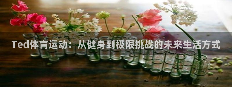 Ted体育运动：从健身到极限挑战的未来生活方式