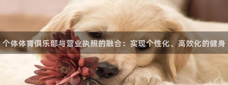 个体体育俱乐部与营业执照的融合：实现个性化、高效化的健身