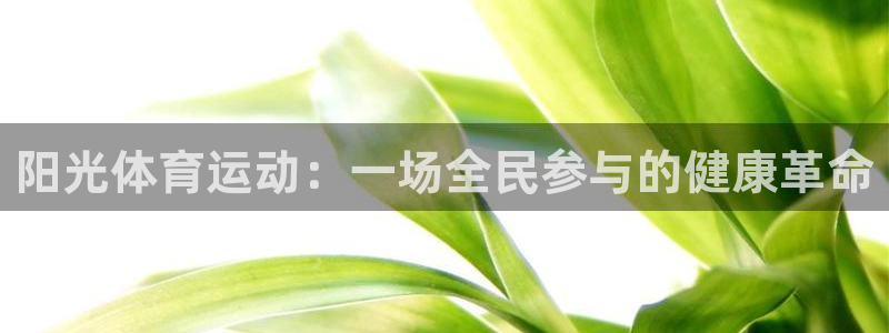 阳光体育运动：一场全民参与的健康革命