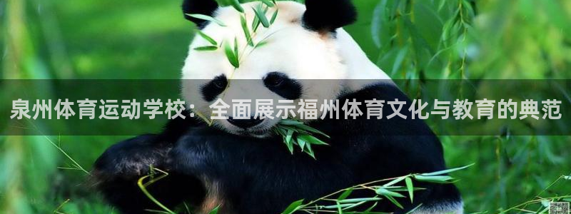 泉州体育运动学校：全面展示福州体育文化与教育的典范